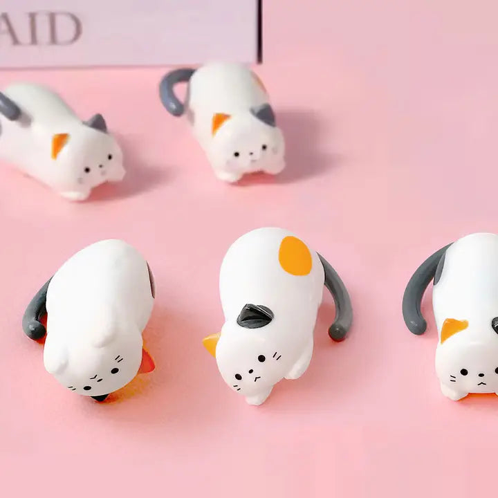 Rolling Kitty Wind-Up Toy Box
