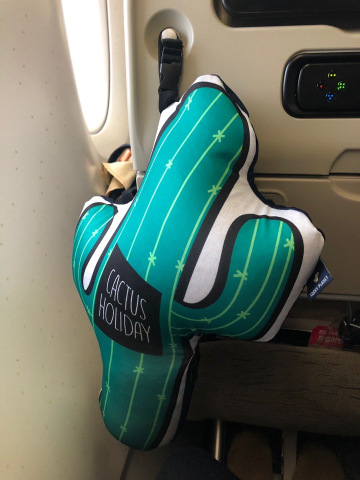 LUCKY PLANET 2 in 1 Travel Neck Pillow Cushion -Cactus Transform to Neck Cushion/Luggage Holding - Luckyplanetusa