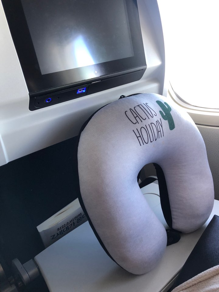LUCKY PLANET 2 in 1 Travel Neck Pillow Cushion -Cactus Transform to Neck Cushion/Luggage Holding - Luckyplanetusa