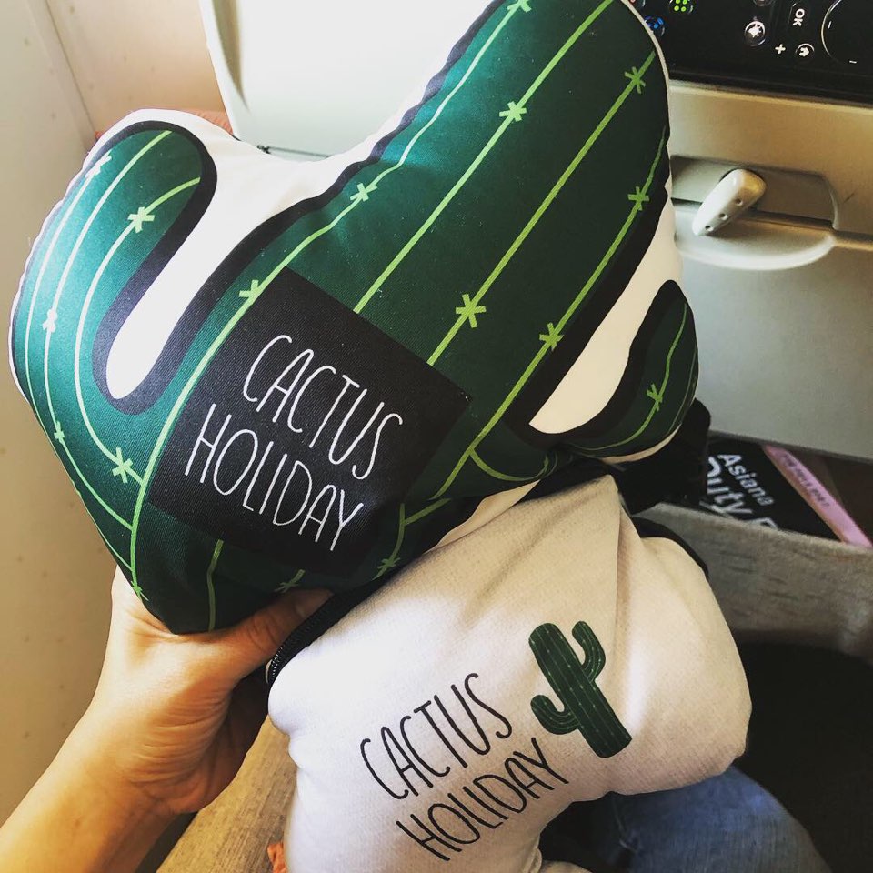 LUCKY PLANET 2 in 1 Travel Neck Pillow Cushion -Cactus Transform to Neck Cushion/Luggage Holding - Luckyplanetusa