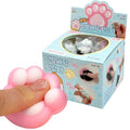 Kitty Paw Pop Squishy 5 Colors Random Box