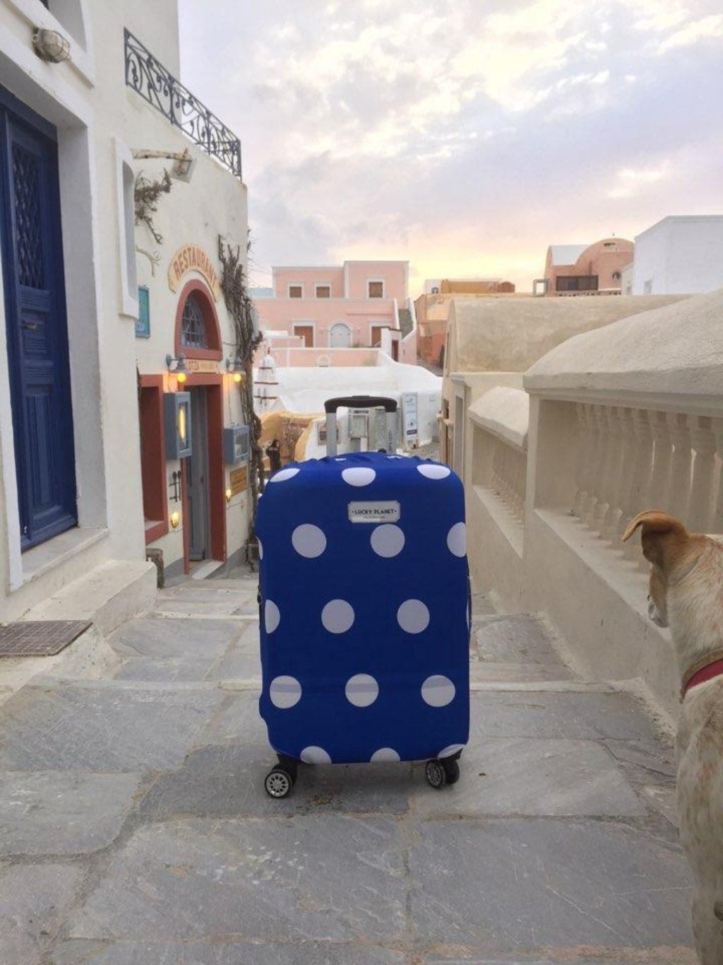 [Lucky Planet] Blue Dot Luggage Cover - Luckyplanetusa